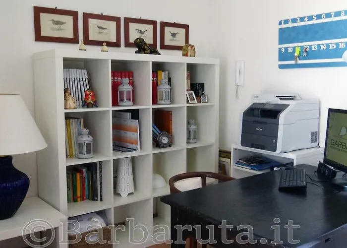 Barbaruta Rta