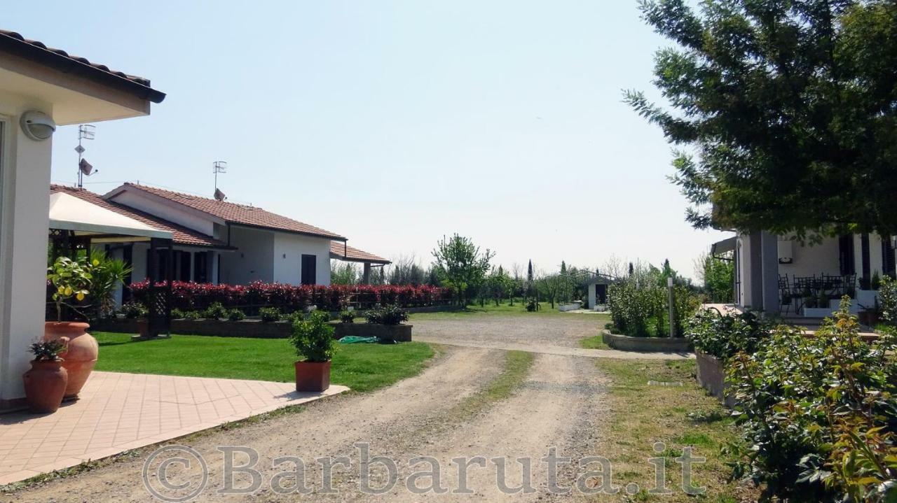 Apartment Barbaruta Rta Grosseto