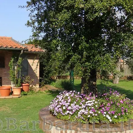 Barbaruta Rta Apartment Grosseto Exterior photo
